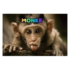 x_MONKE_x