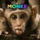 x_MONKE_x