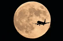 Pełnia Bobrów i roje meteorów. W listopadzie warto obserwować niebo