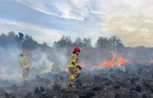 Pożar w Biebrzańskim Parku Narodowym. Na miejscu 40 strażaków - RMF 24