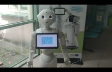 AI Sztuczna Inteligencja w Robocie / Terminator powoli się zaczyna sprawdzać #ch