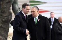 Niemiecki Europoseł Daniel Freund chce wstrzymania funduszy dla Polski i Węgier.
