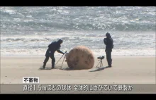 Japonia: Tajemnicza kula na plaży. Wezwano wojsko