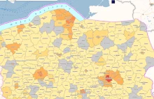 Marnotrawstwo i sabotaż. Polska wyda krocie na okrojony portal