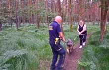 Tychy: Ktoś przywiązał psa do drzewa w lesie. Na pewną śmierć Tychy24.net