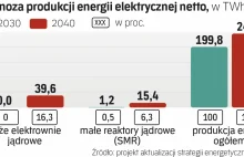 Elektrownia atomowa w Polsce. Znamy plany na 2024 rok