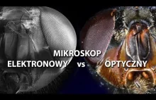 Mikroskop ELEKTRONOWY vs OPTYCZNY