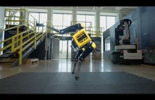 Cena robota-psa Spot nie jest przystępna: Spot kosztuje 75 000 dolarów