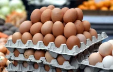 Ceny jajek mocno w górę. Nawet blisko 24 zł za 10 szt. | INNPoland.pl