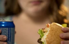 Badanie: Spożywanie śmieciowego jedzenia w młodości może uszkadzać mózg