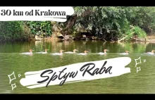 Spływ Rabą - 30km od Krakowa