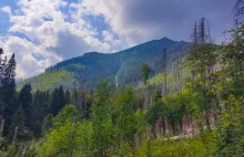 Dolina Waksmundzka: Tatry Wysokie