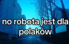 "Robota jest dla Polaków, dla nas są pieniążki." Nagrany SCAM