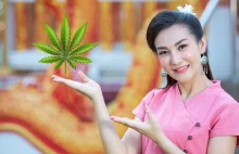 Premier Tajlandii nie zgadza się na rekreacyjne używanie marihuany