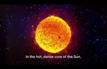 The Sun Our Cosmic Dynamo