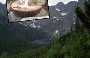 Morskie Oko w Zakopanem. Lawina ujawniła, co turyści wrzucają do jeziora