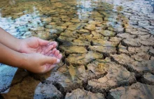 Krajobraz suszy polskiej