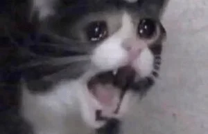 Przy opiece naprzemiennej ZUS przeleje po 400 zł na rodzica