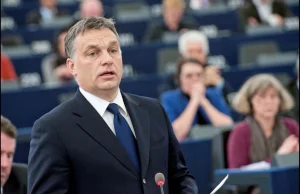 Senatorowie USA pojadą na Węgry, aby forsować akcesję Szwecji do NATO