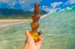 Hawaje chcą zalegalizować marihuanę w 2023 roku - FaktyKonopne.pl