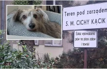 Na tym osiedlu jest licznik zwierząt. Maksimum dwa psy na mieszkanie? Absurd