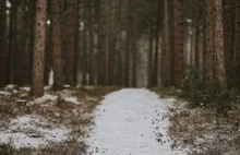 Wskazówki dotyczące przygotowywania najlepszego jedzenia na biwak