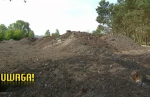 Niemcy od lat robią z Polski śmietnik. Tysiące ton rakotwórczych odpadów w lesie