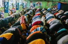 Uchodźcy w Austrii celowo oblewają kursy języka, by pozostać na zasiłkach