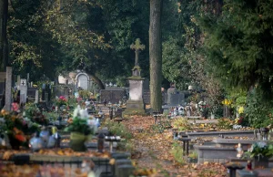 Skandal na cmentarzu. Auta parkują na nagrobkach