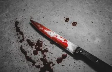 Horror na Śląsku. Ugodził matkę nożem po tym, jak nie dała mu telefonu