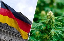 Oficjalnie: Niemcy zalegalizowały marihuanę!