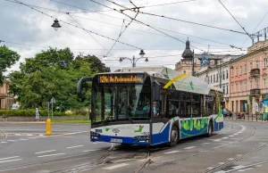 Była posłanka PiS znalazła pracę w komunikacyjnej spółce. Bo jeździła autobusami