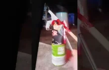 Damian Grzeszczyk antypolak