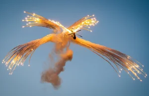 Antidotum Airshow Leszno Najlepszym Produktem Turystycznym