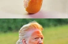 Kompletna odklejka Trumpa po wyroku XDDDDDDDDD