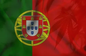 Portugalia zatwierdza nowe produkty medycznej marihuany