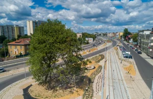 Wykonawcy linii tramwajowej w Toruniu dewastowali zieleń?