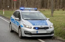 Skrzynia z materiałami pirotechnicznymi w lesie. Poinformowano wojsko i ABW