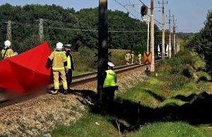 76-latek zignorował sygnały na przejeździe kolejowym. Zginął na miejscu