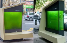 Na ulicach Belgradu pojawiły się zielone zbiorniki z algami