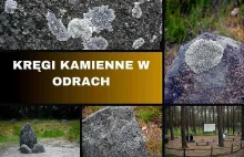 Rezerwat Przyrody Kręgi Kamienne w Odrach - GRAFY W PODRÓŻY