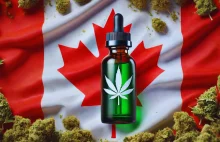 Naukowcy zbadali legalne olejki konopne w Kanadzie. Etykiety zawyżają poziom THC