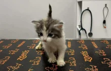 Faktury, które spędzają sen z powiek.