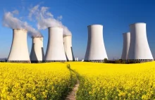 Globalny triumf atomu: produkcja energii jądrowej będzie rosnąć