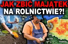 JAKIE UPRAWY PRZYNOSZĄ NAJWIĘKSZY ZYSK? - rolnictwo jest opłacalne? - YouTube