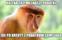 Jednak wprowadzają kredyt 0%