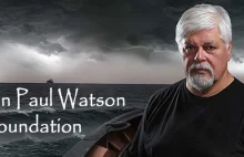 Paul Watson aresztowany, Co dalej z ruchem antywielorybniczym?