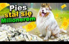 Pies wygrywa 50 mln w Lotto