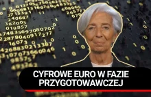 Cyfrowe Euro w fazie przygotowawczej. Nigeryjskie CDBC po roku od wdrożenia.