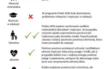 Wybory - czy Polska 2050 wspiera sprawy mężczyzn?